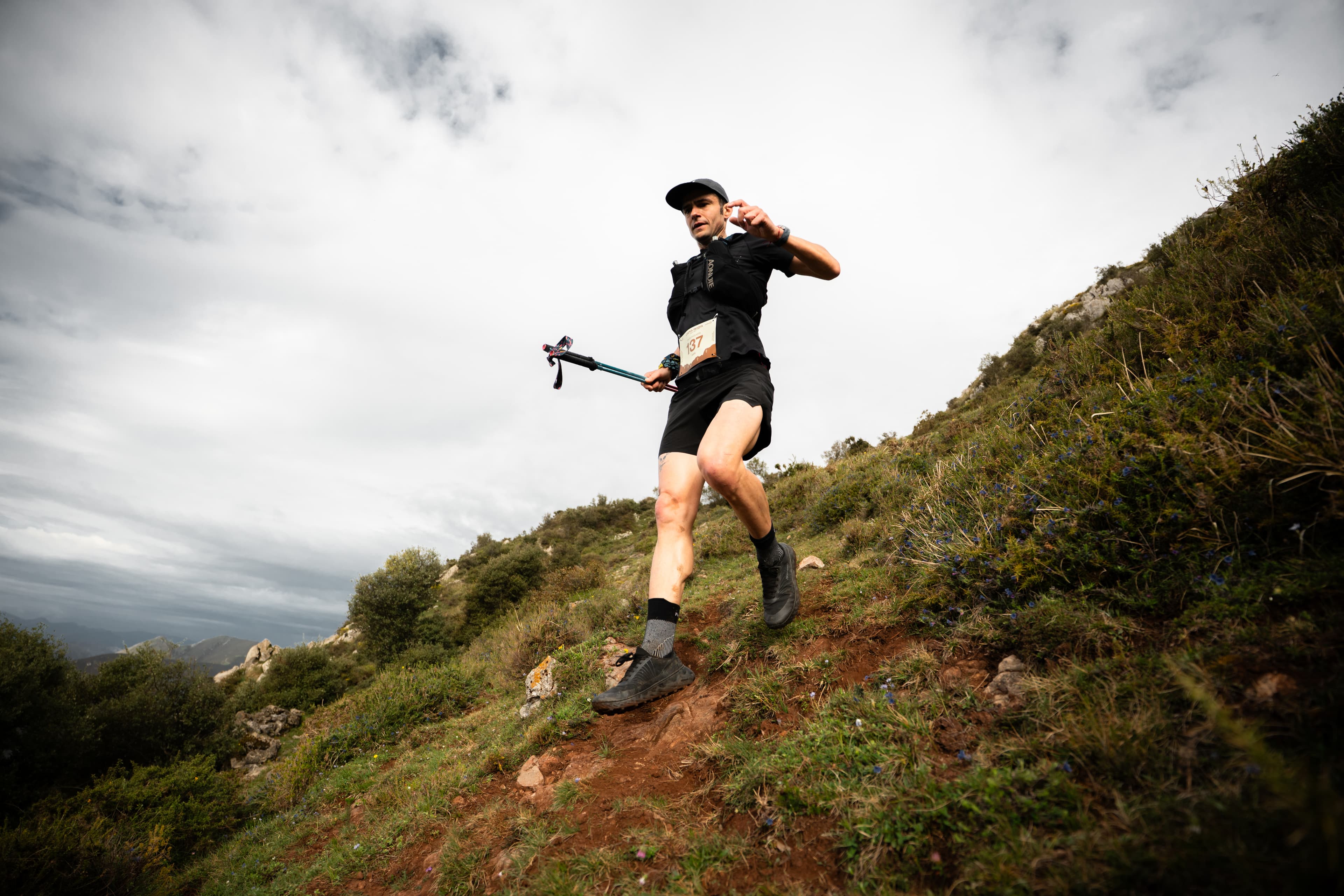 Galería de la primera edición